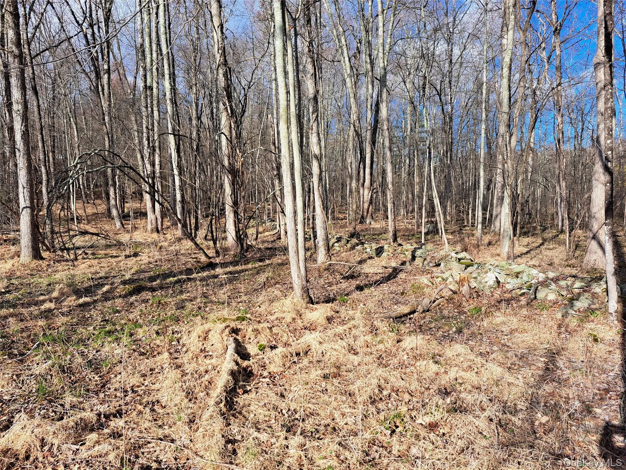 Van Burenville Road, Wallkill, NY, ,Land,For Rent,Van Burenville,0,965294 Van Burenville Road, Wallkill, NY, ,Land,For Rent,Van Burenville,0,965294