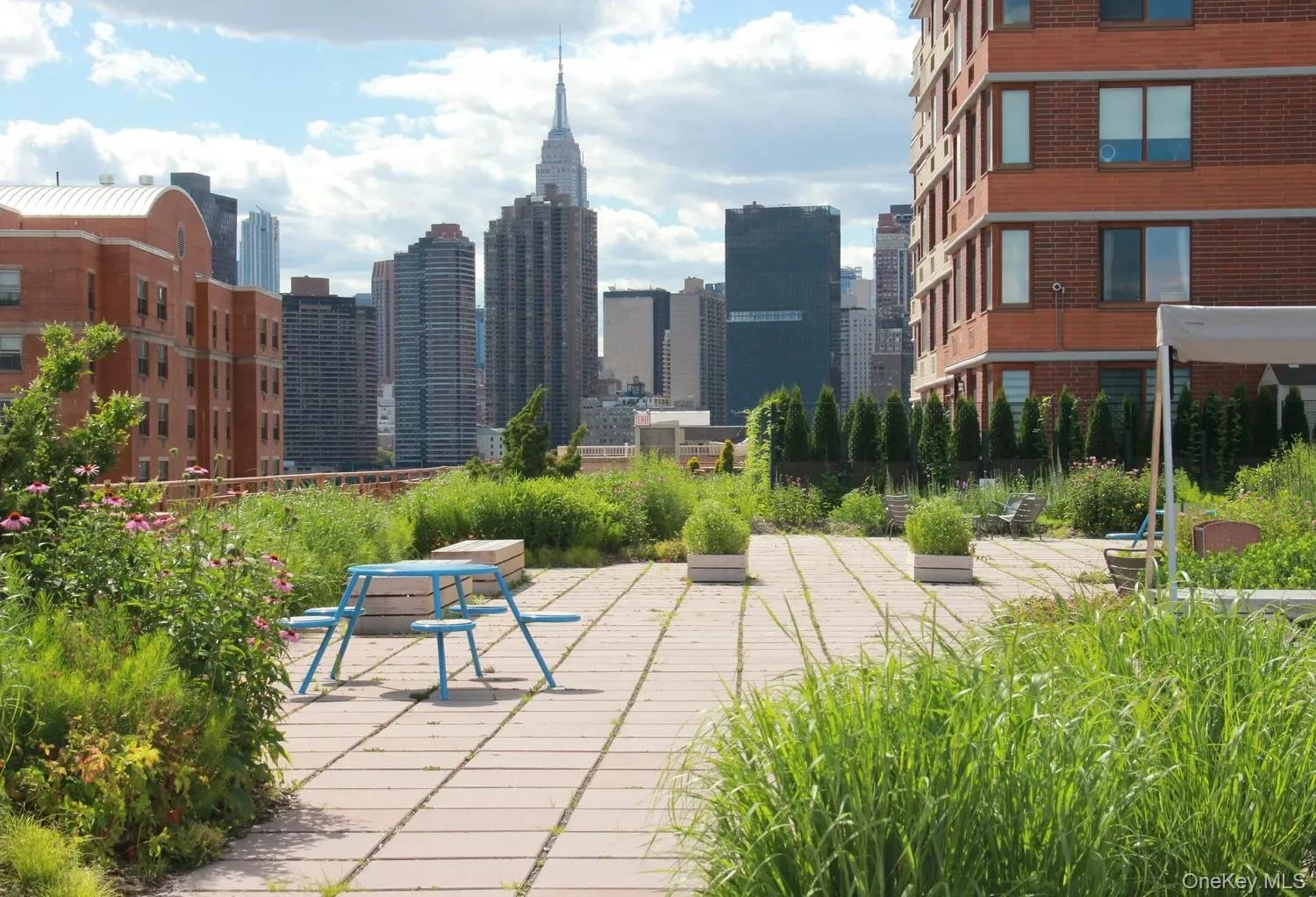 4-74 48th Avenue, New York, NY, 1 Bedroom Bedrooms, 3 Rooms Rooms,1 BathroomBathrooms,Residential,For Rent,48th,0,KEY965334 4-74 48th Avenue, New York, NY, 1 Bedroom Bedrooms, 3 Rooms Rooms,1 BathroomBathrooms,Residential,For Rent,48th,0,KEY965334