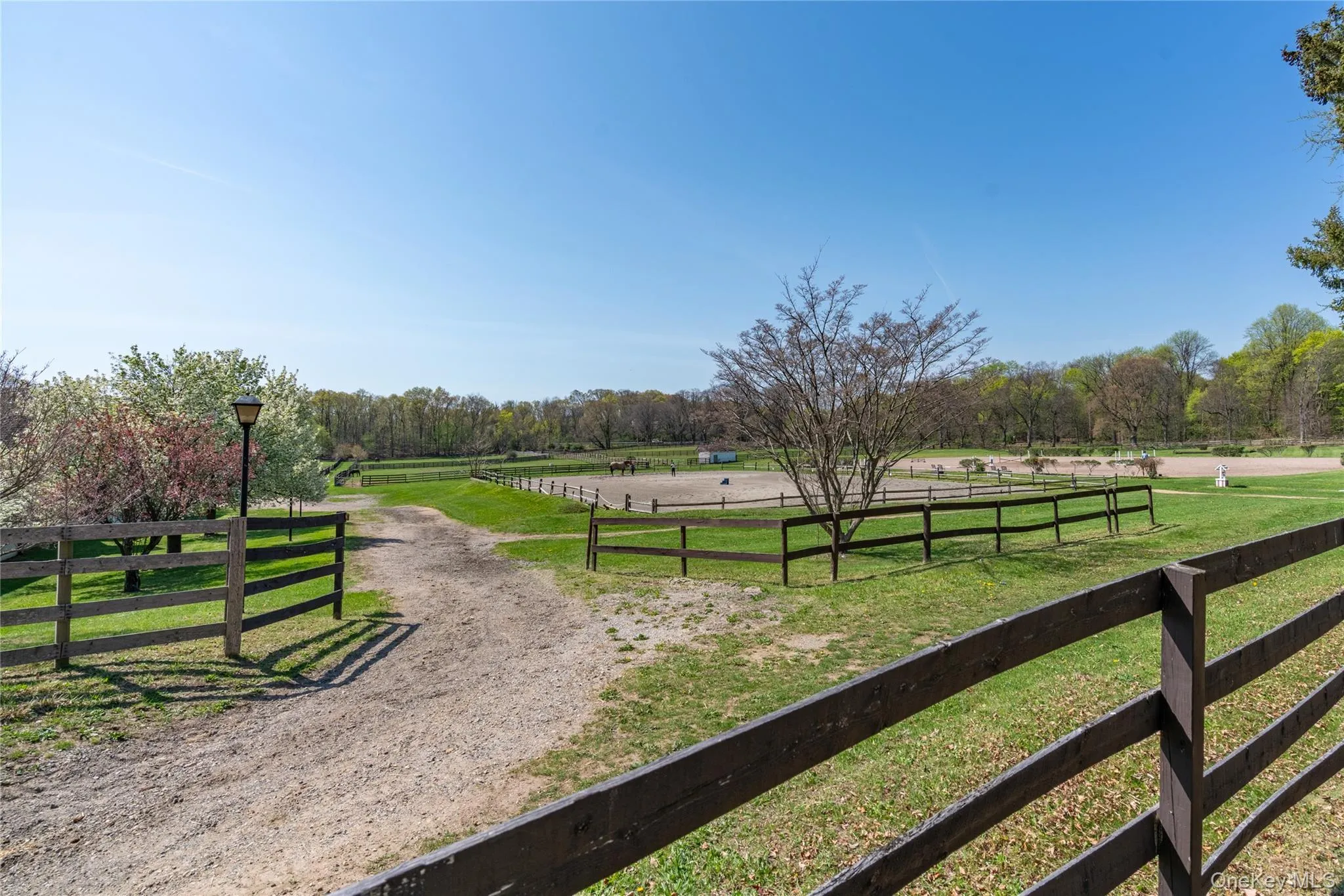 203 Store Hill Road, Oyster Bay, NY, 6 Bedrooms Bedrooms, 13 Rooms Rooms,4 BathroomsBathrooms,Residential Lease,For Rent,Store Hill,0,965462 203 Store Hill Road, Oyster Bay, NY, 6 Bedrooms Bedrooms, 13 Rooms Rooms,4 BathroomsBathrooms,Residential Lease,For Rent,Store Hill,0,965462