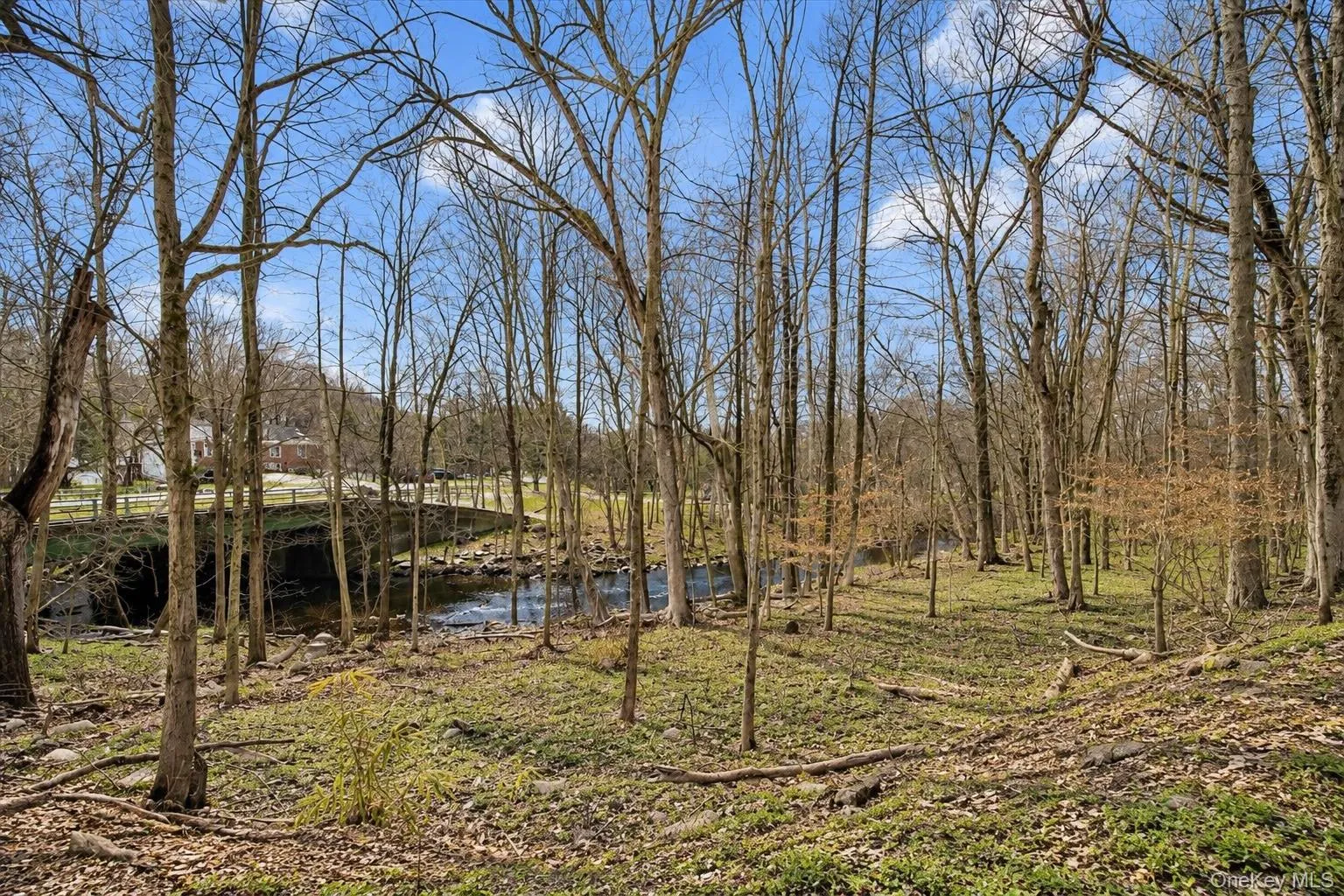 24 Johnsontown Road, Ramapo, NY, 5 Bedrooms Bedrooms, 11 Rooms Rooms,3 BathroomsBathrooms,Residential,For Rent,Johnsontown,0,965525 24 Johnsontown Road, Ramapo, NY, 5 Bedrooms Bedrooms, 11 Rooms Rooms,3 BathroomsBathrooms,Residential,For Rent,Johnsontown,0,965525