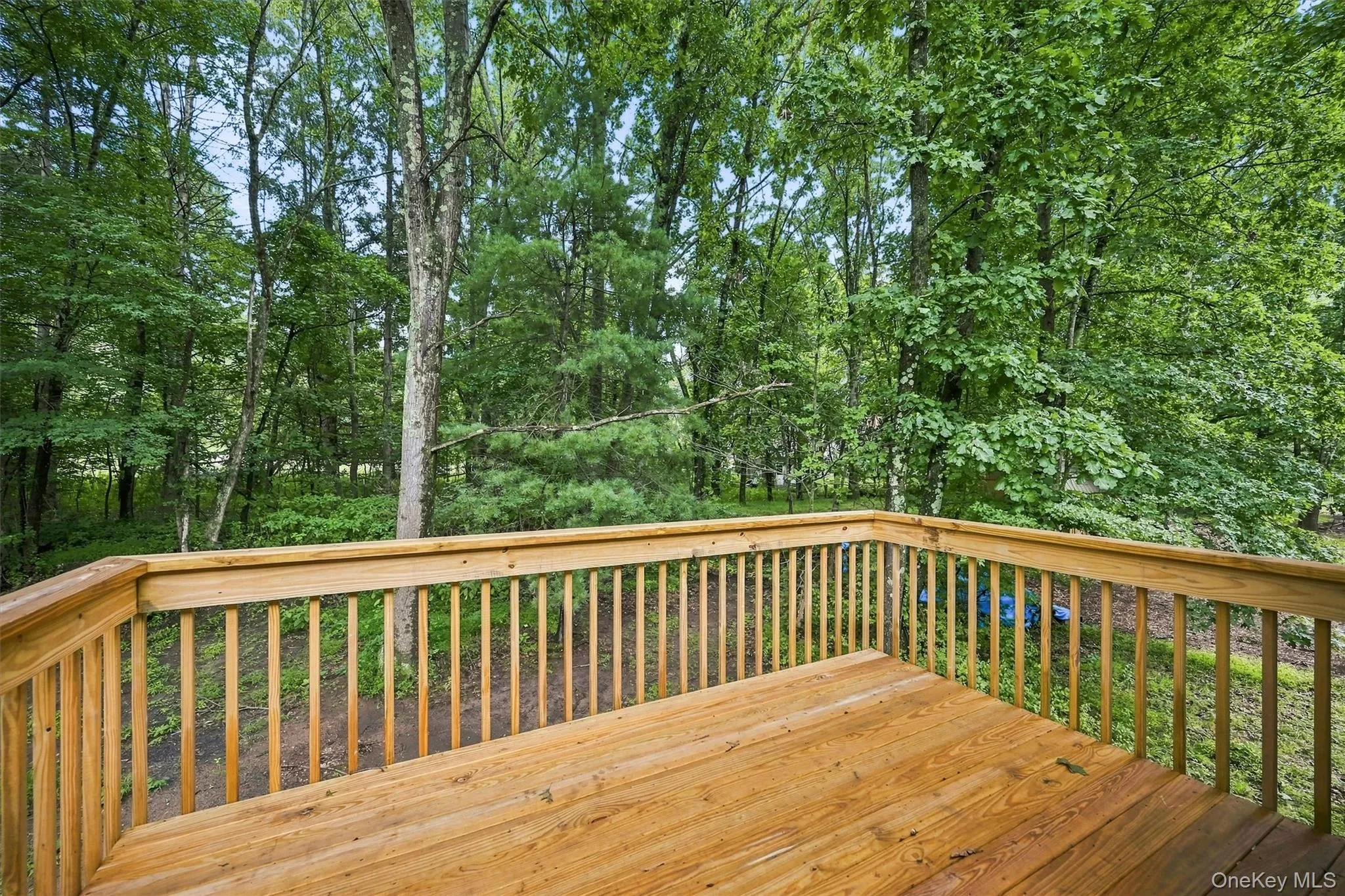6 Mark Drive, Deerpark, NY, 3 Bedrooms Bedrooms, 7 Rooms Rooms,2 BathroomsBathrooms,Residential,For Rent,Mark,0,965601 6 Mark Drive, Deerpark, NY, 3 Bedrooms Bedrooms, 7 Rooms Rooms,2 BathroomsBathrooms,Residential,For Rent,Mark,0,965601