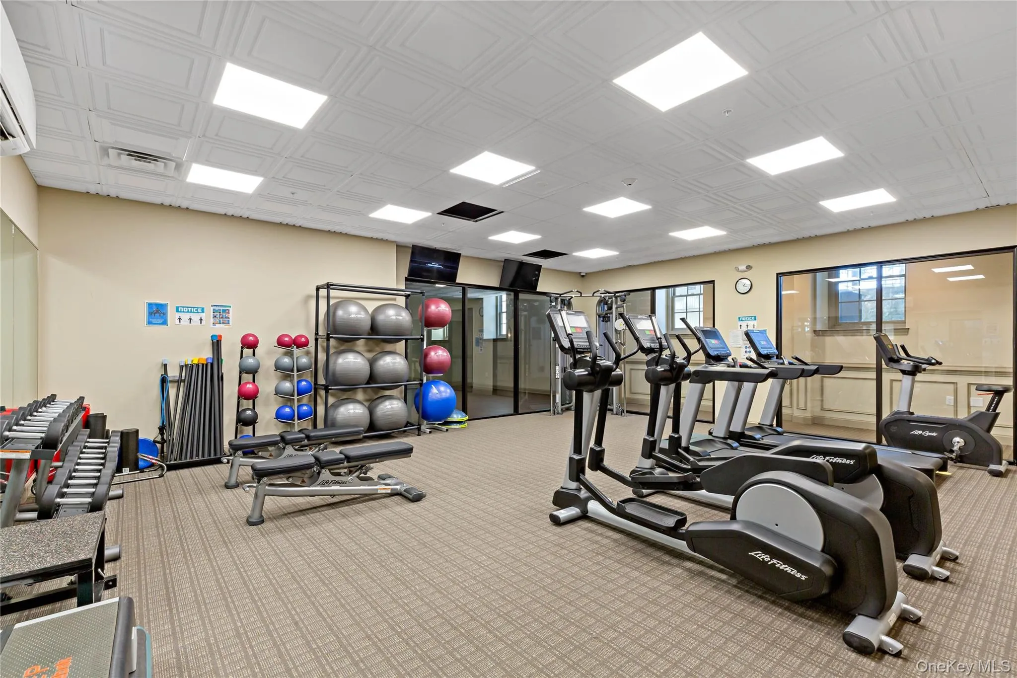 Fully equipped gym to keep you healthy and strong Fully equipped gym to keep you healthy and strong