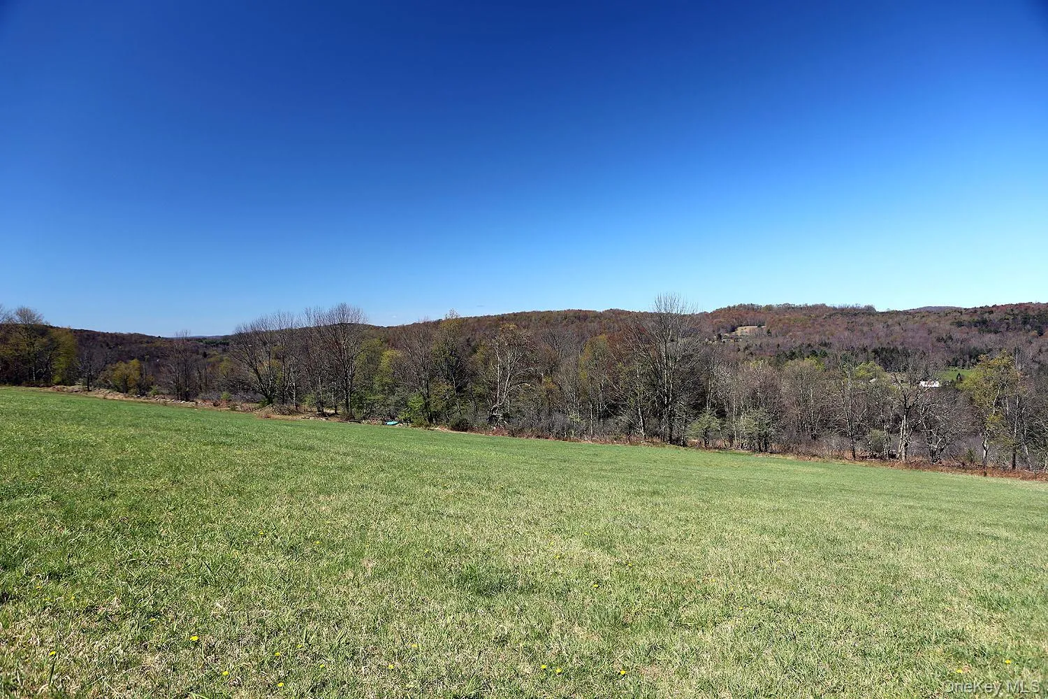 Hubert Road, Callicoon, NY, ,Land,For Rent,Hubert,0,965702 Hubert Road, Callicoon, NY, ,Land,For Rent,Hubert,0,965702
