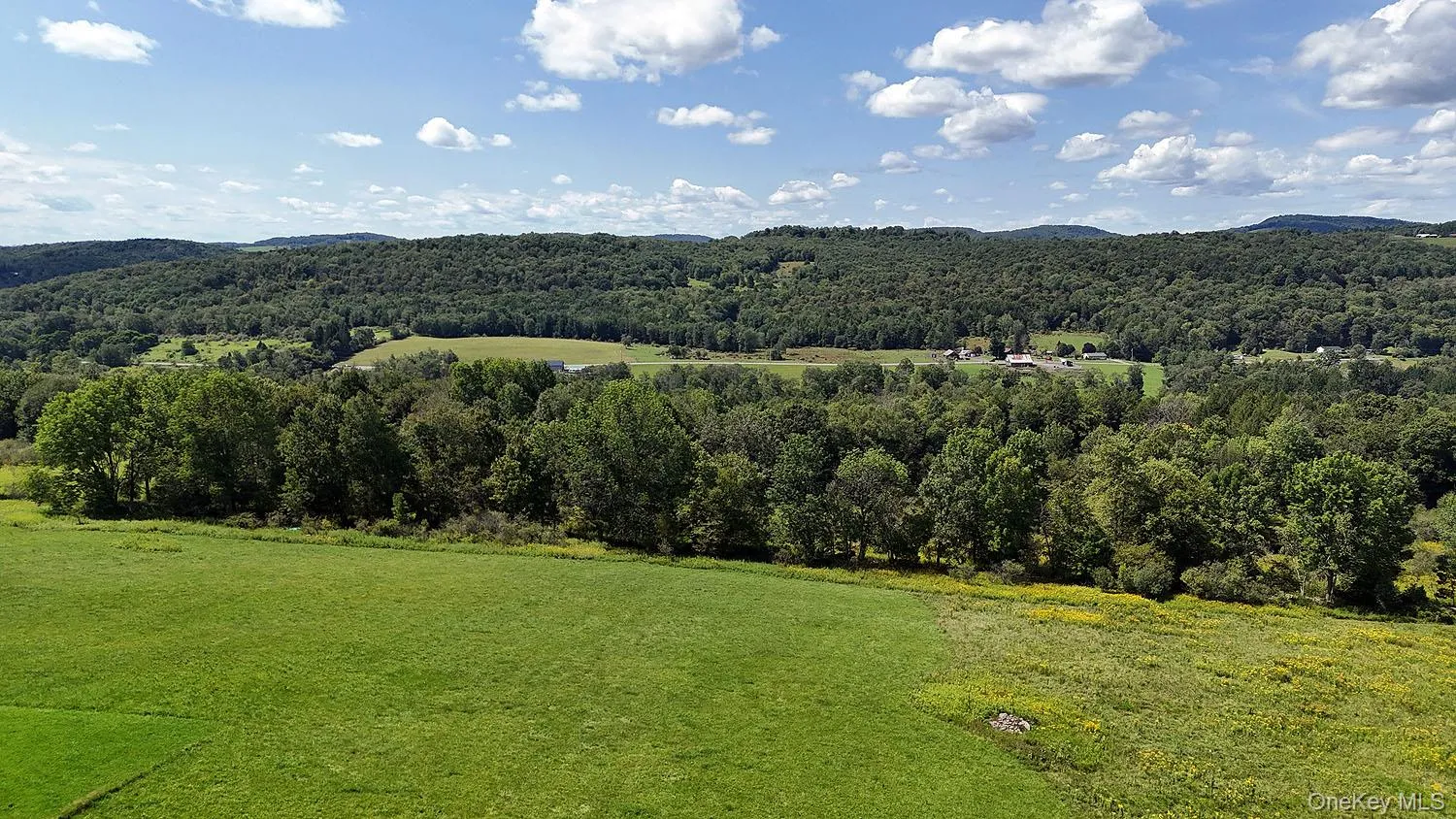 Hubert Road, Callicoon, NY, ,Land,For Rent,Hubert,0,965702 Hubert Road, Callicoon, NY, ,Land,For Rent,Hubert,0,965702