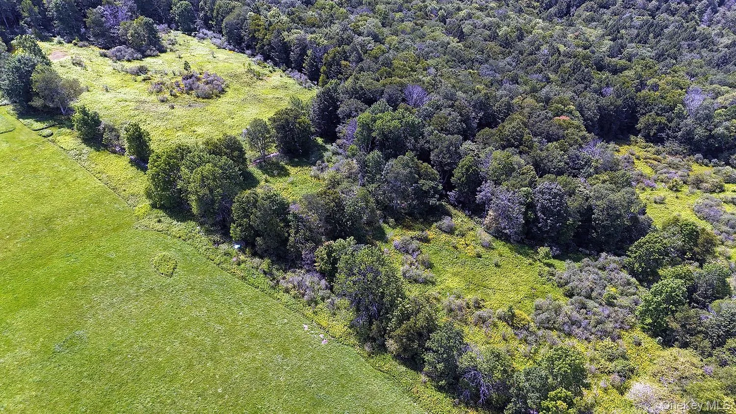 Hubert Road, Callicoon, NY, ,Land,For Rent,Hubert,0,965702 Hubert Road, Callicoon, NY, ,Land,For Rent,Hubert,0,965702