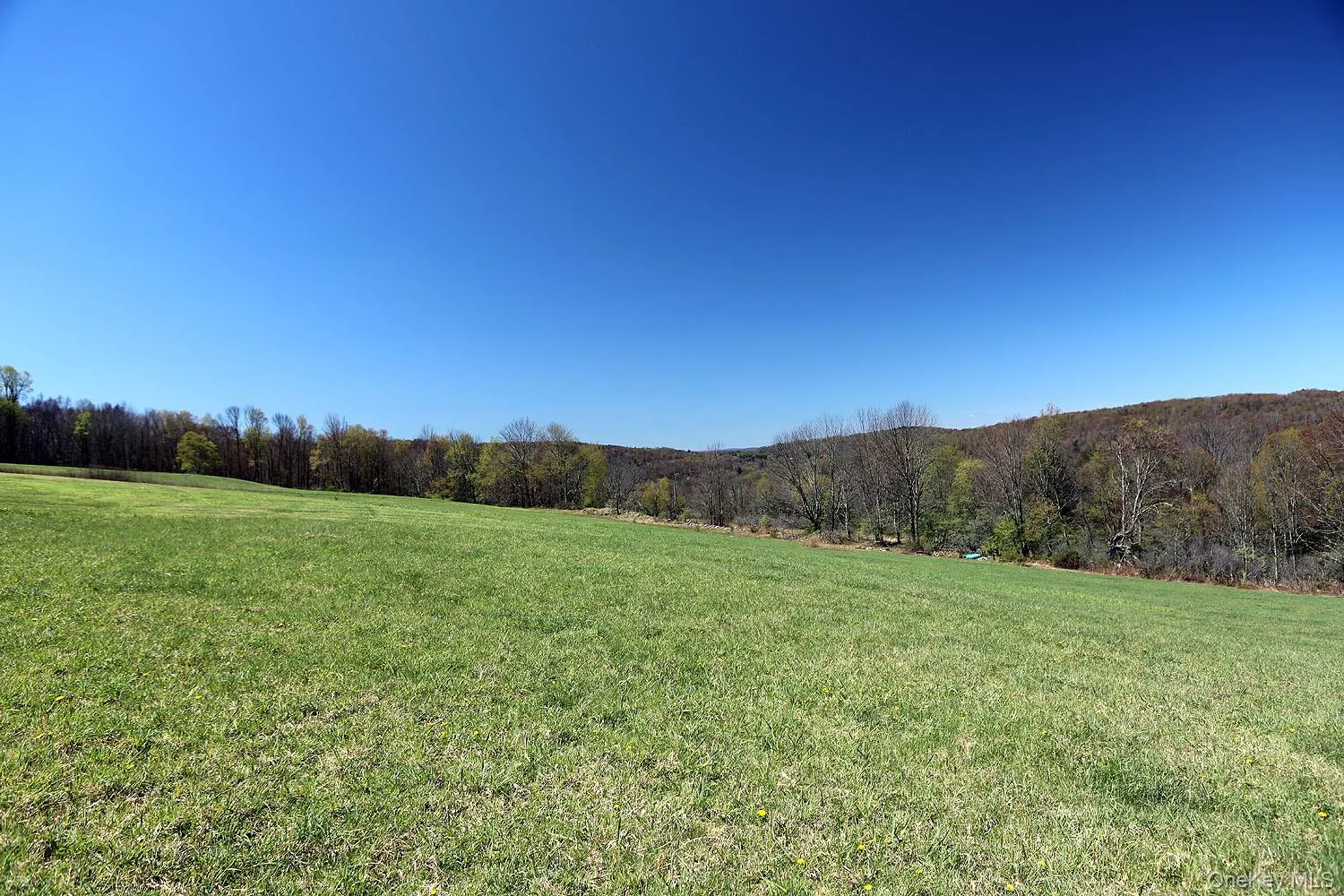 Hubert Road, Callicoon, NY, ,Land,For Rent,Hubert,0,965702 Hubert Road, Callicoon, NY, ,Land,For Rent,Hubert,0,965702