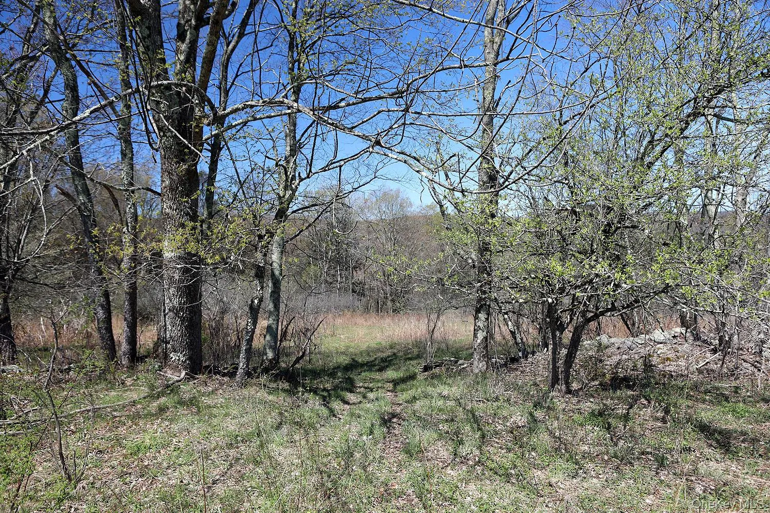Hubert Road, Callicoon, NY, ,Land,For Rent,Hubert,0,965702 Hubert Road, Callicoon, NY, ,Land,For Rent,Hubert,0,965702