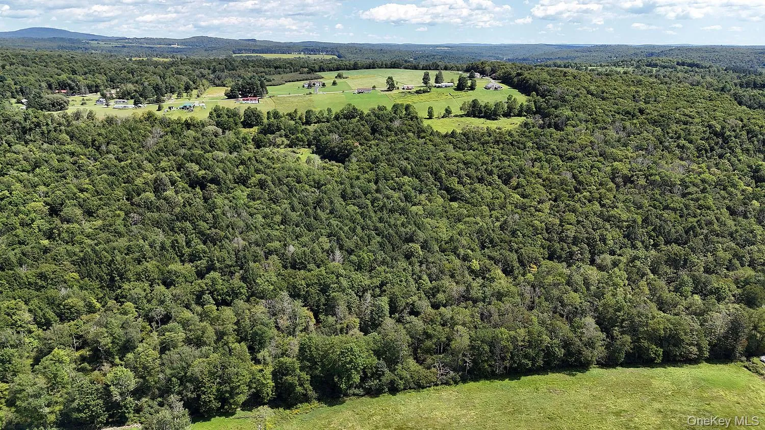 Hubert Road, Callicoon, NY, ,Land,For Rent,Hubert,0,965702 Hubert Road, Callicoon, NY, ,Land,For Rent,Hubert,0,965702