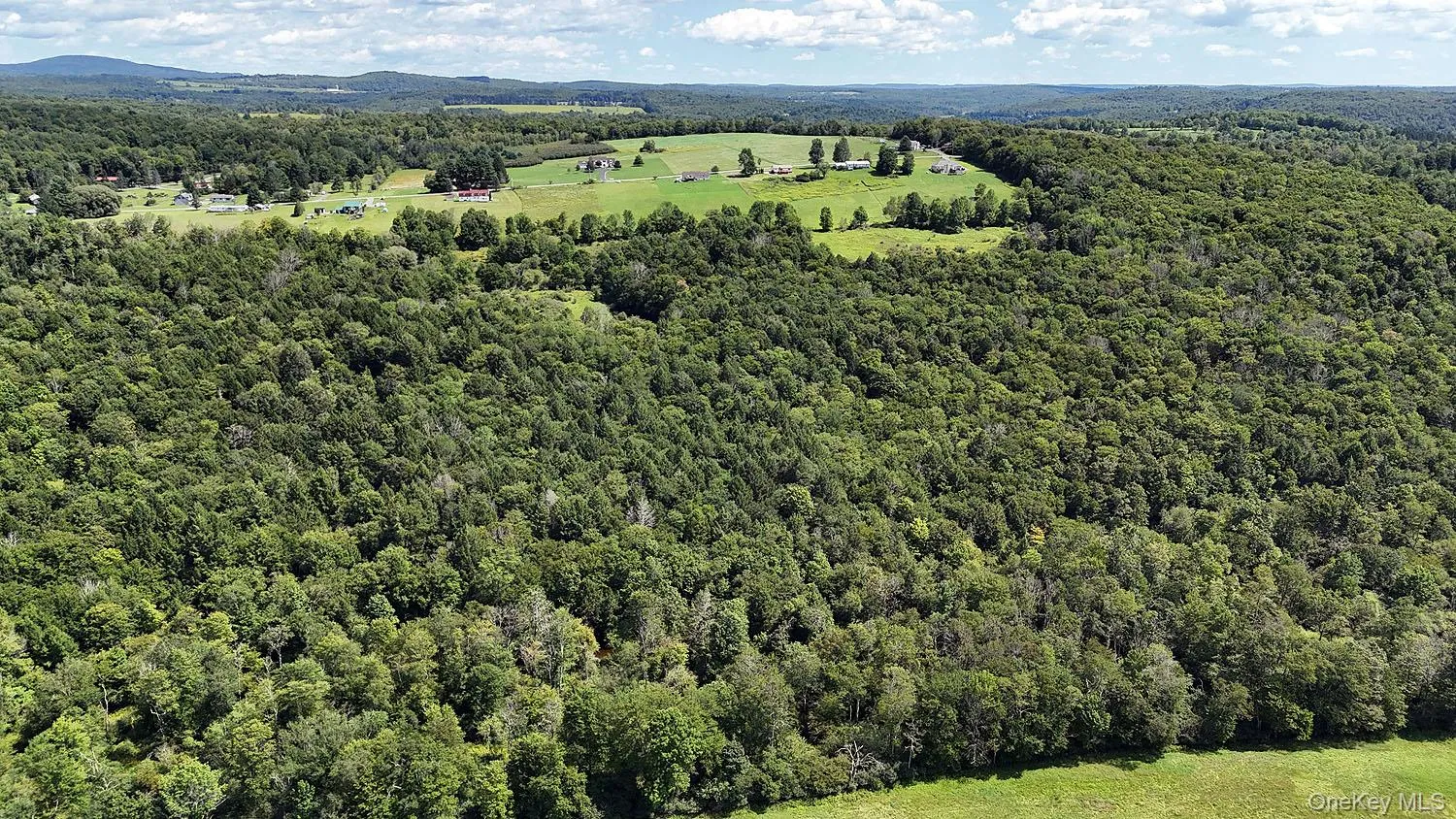 Hubert Road, Callicoon, NY, ,Land,For Rent,Hubert,0,965702 Hubert Road, Callicoon, NY, ,Land,For Rent,Hubert,0,965702