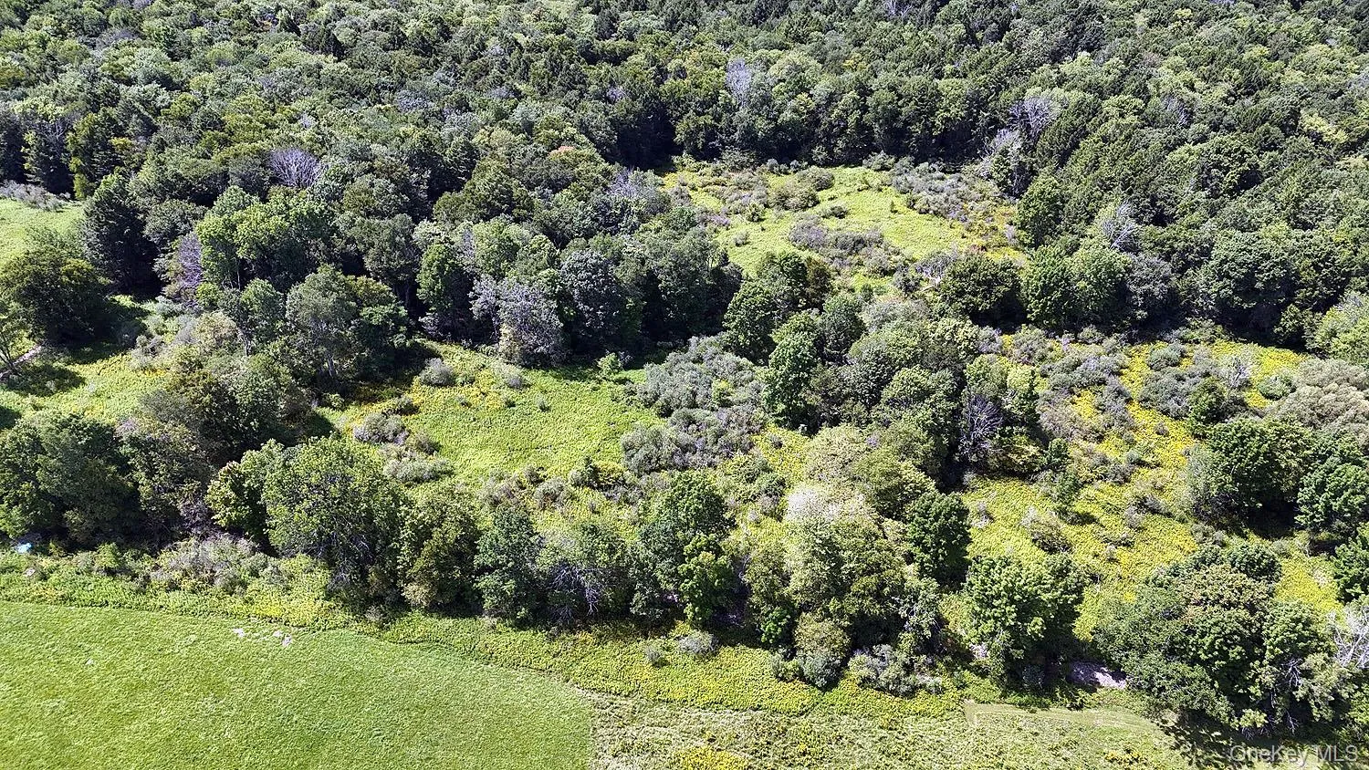 Hubert Road, Callicoon, NY, ,Land,For Rent,Hubert,0,965702 Hubert Road, Callicoon, NY, ,Land,For Rent,Hubert,0,965702