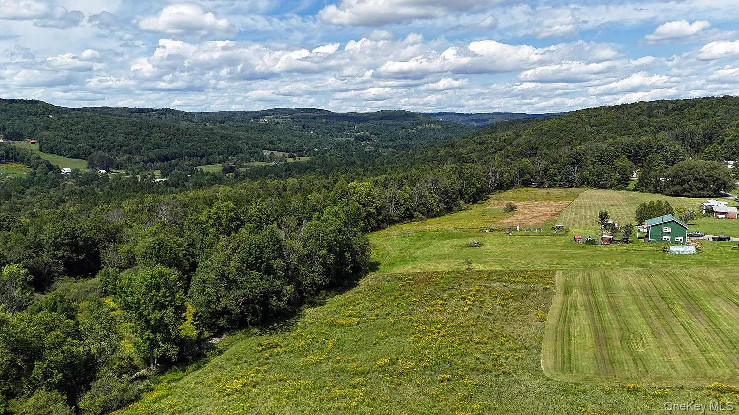 Hubert Road, Callicoon, NY, ,Land,For Rent,Hubert,0,965702 Hubert Road, Callicoon, NY, ,Land,For Rent,Hubert,0,965702