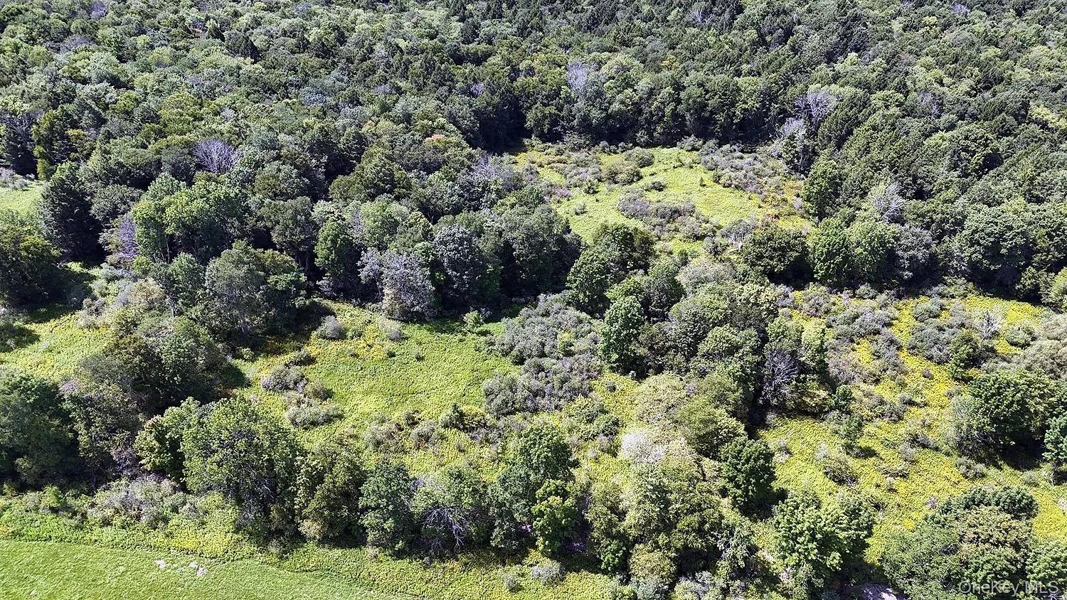 Hubert Road, Callicoon, NY, ,Land,For Rent,Hubert,0,965702 Hubert Road, Callicoon, NY, ,Land,For Rent,Hubert,0,965702