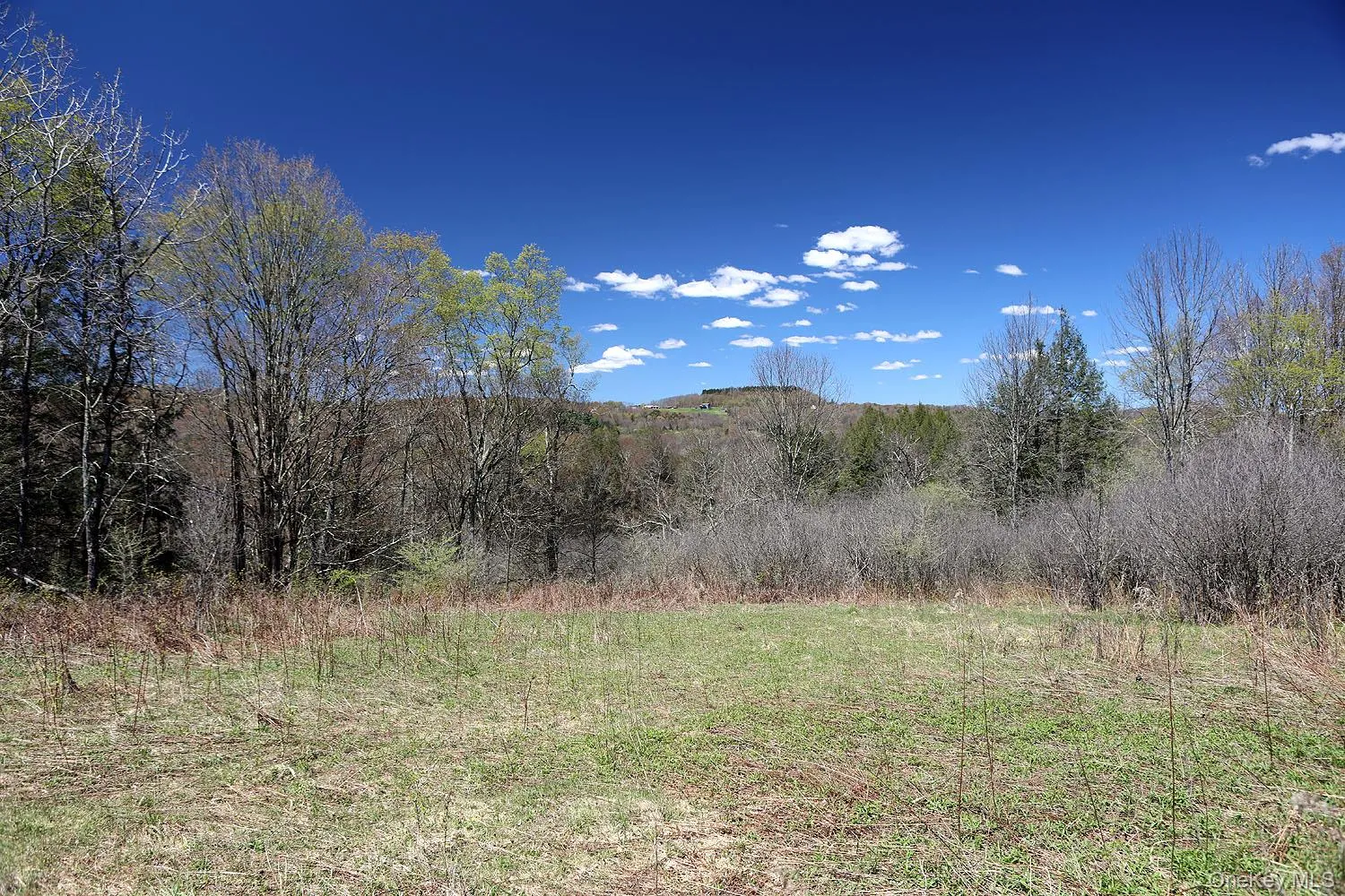Hubert Road, Callicoon, NY, ,Land,For Rent,Hubert,0,965702 Hubert Road, Callicoon, NY, ,Land,For Rent,Hubert,0,965702
