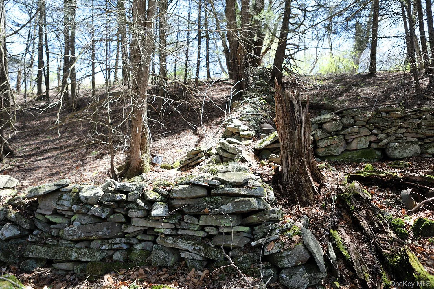 Stone walls within the wooded portion of the property Stone walls within the wooded portion of the property