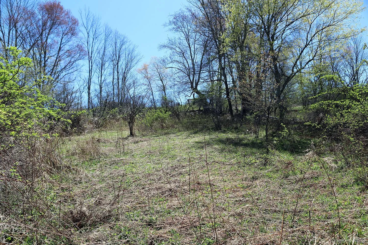 Hubert Road, Callicoon, NY, ,Land,For Rent,Hubert,0,965702 Hubert Road, Callicoon, NY, ,Land,For Rent,Hubert,0,965702