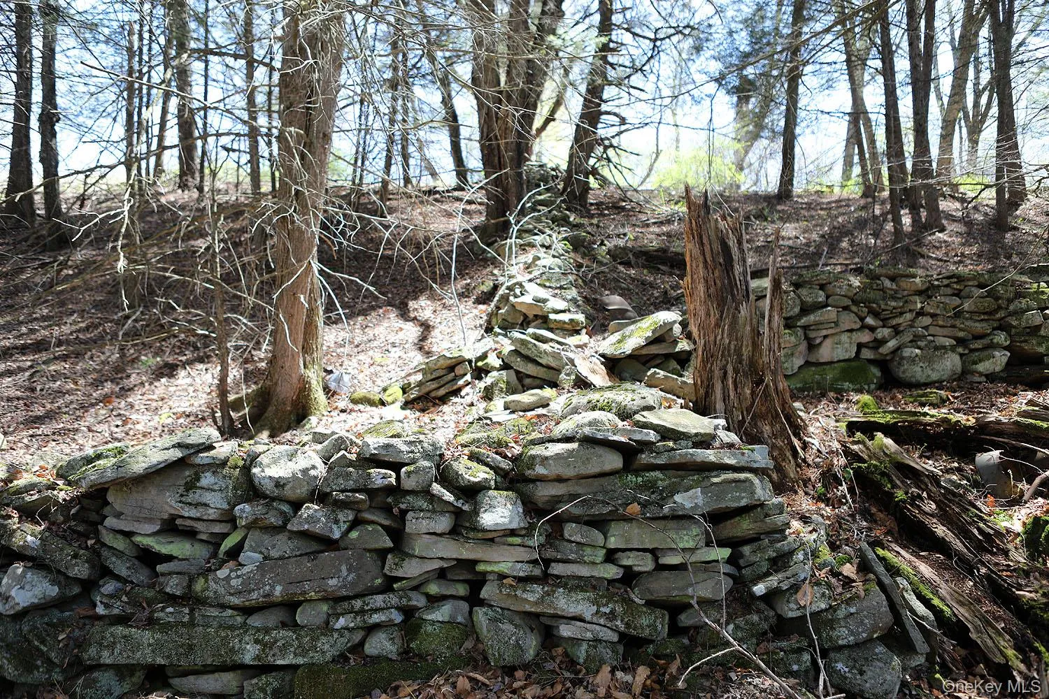 Interior stone walls Interior stone walls