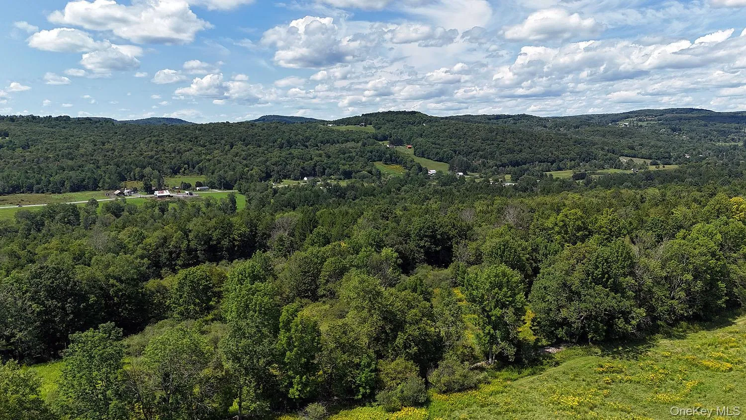 Hubert Road, Callicoon, NY, ,Land,For Rent,Hubert,0,965702 Hubert Road, Callicoon, NY, ,Land,For Rent,Hubert,0,965702