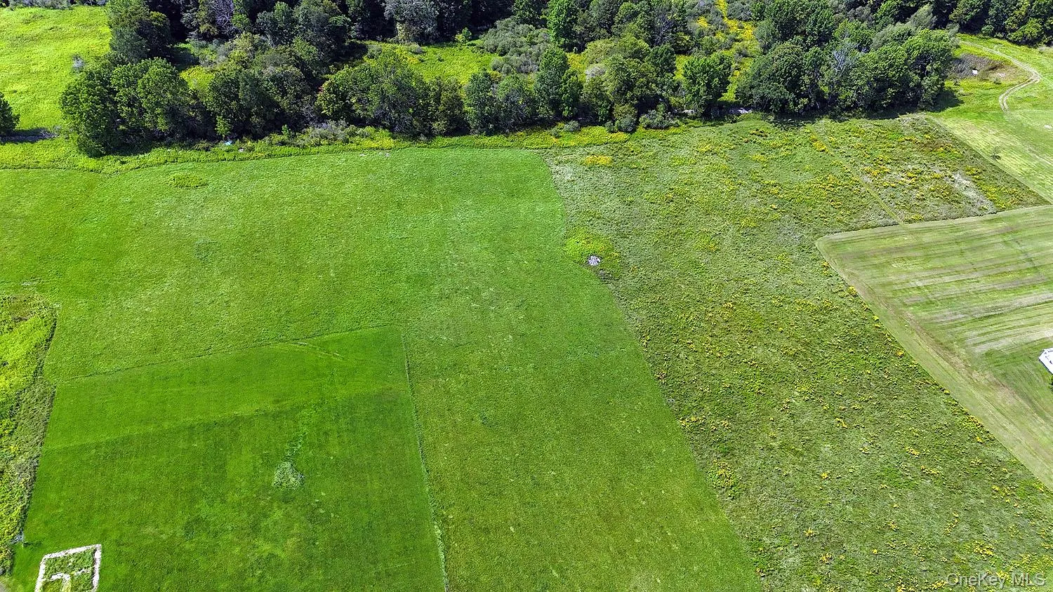 Hubert Road, Callicoon, NY, ,Land,For Rent,Hubert,0,965702 Hubert Road, Callicoon, NY, ,Land,For Rent,Hubert,0,965702
