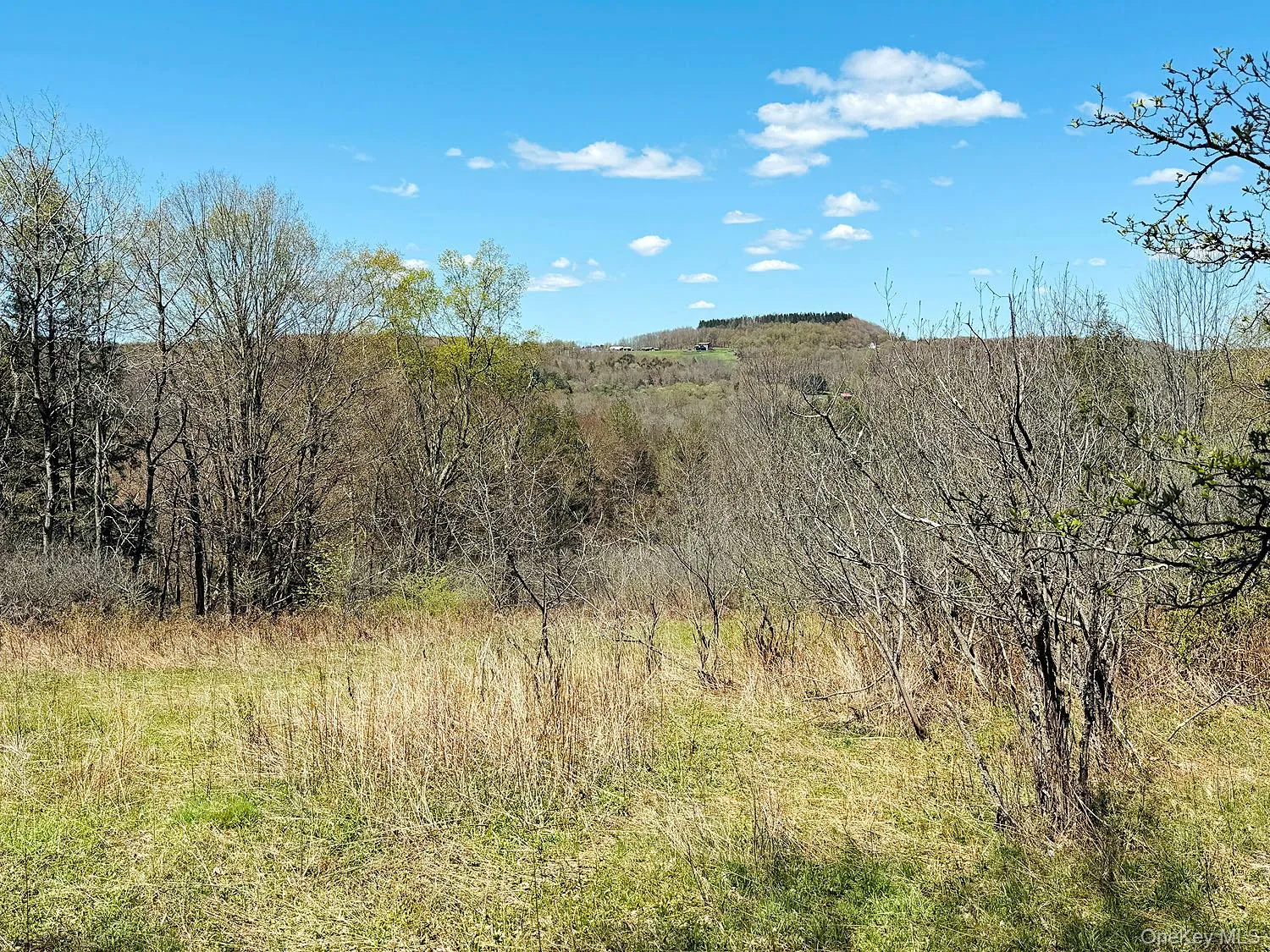 Hubert Road, Callicoon, NY, ,Land,For Rent,Hubert,0,965702 Hubert Road, Callicoon, NY, ,Land,For Rent,Hubert,0,965702