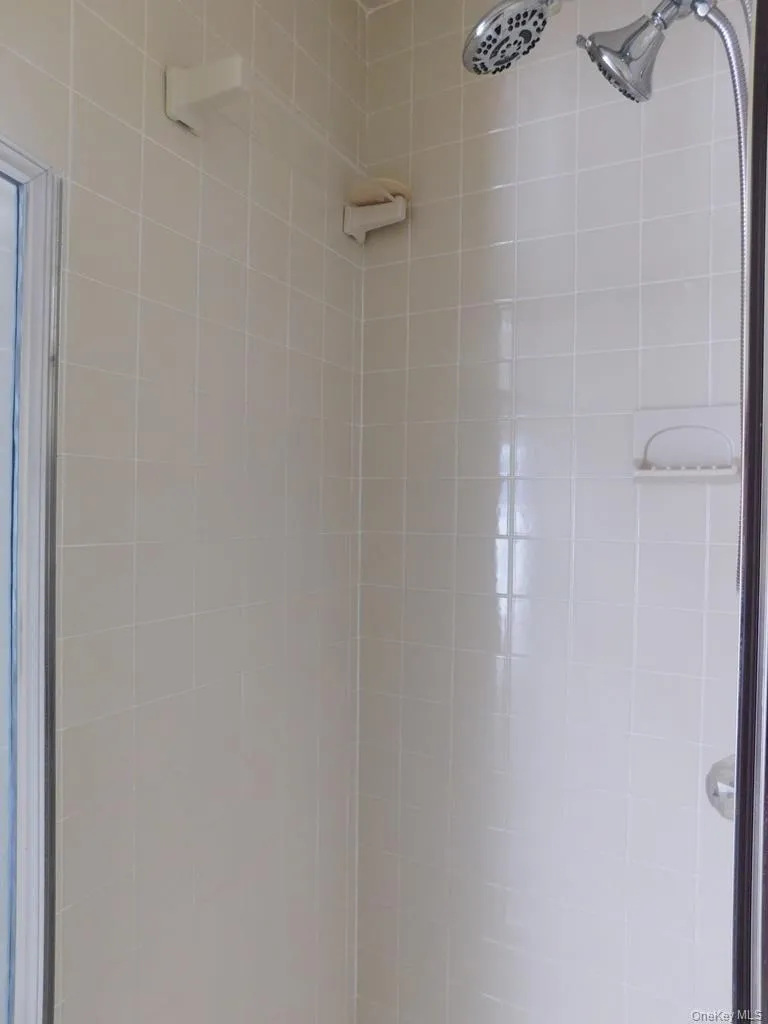 Primary shower Primary shower