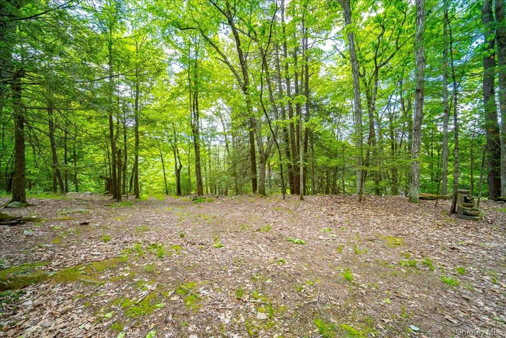 101 Red Star Road, Wawarsing, NY, 3 Bedrooms Bedrooms, 5 Rooms Rooms,1 BathroomBathrooms,Residential,For Rent,Red Star,0,965863 101 Red Star Road, Wawarsing, NY, 3 Bedrooms Bedrooms, 5 Rooms Rooms,1 BathroomBathrooms,Residential,For Rent,Red Star,0,965863
