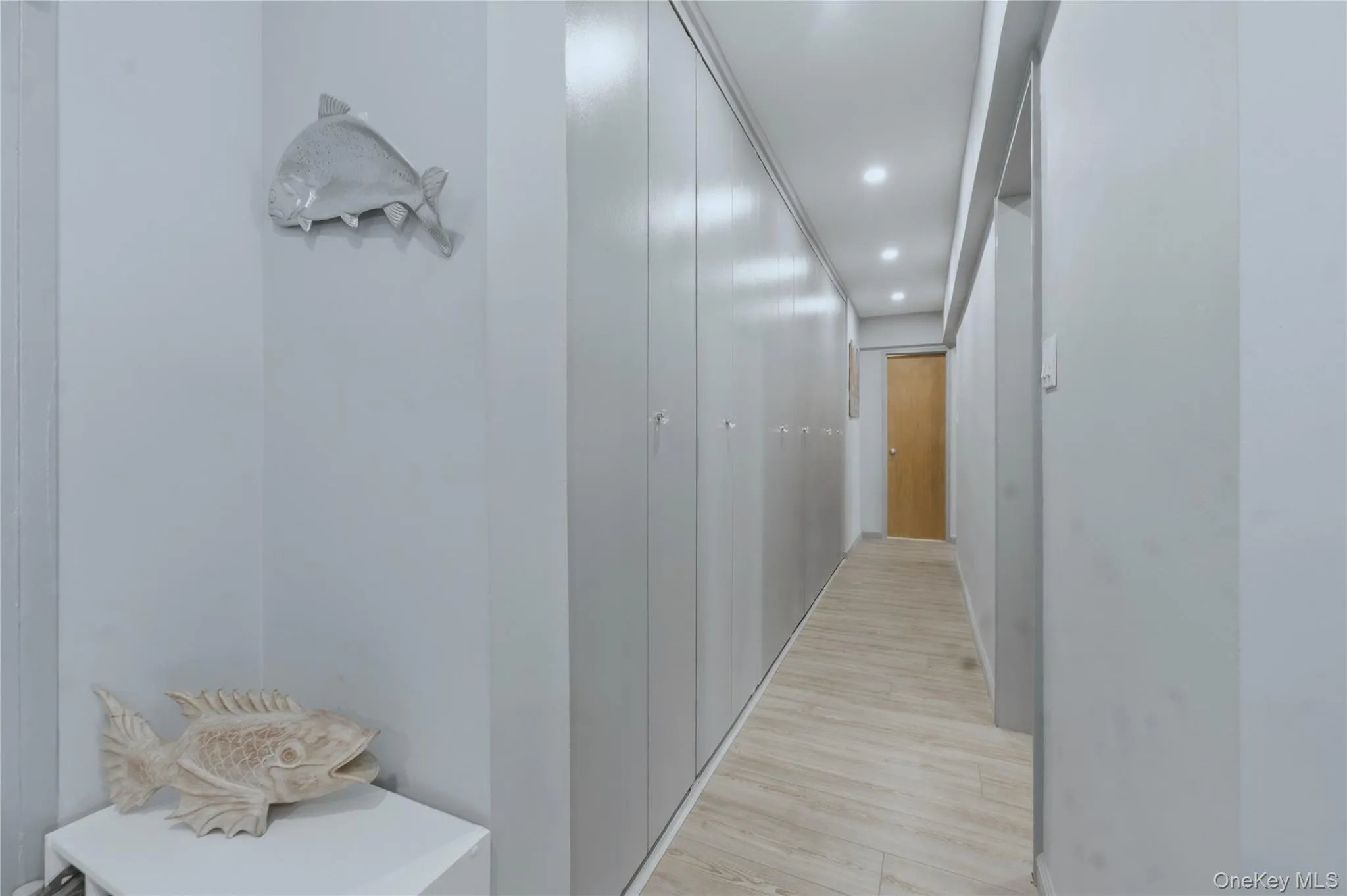 Hallway of Closets Hallway of Closets
