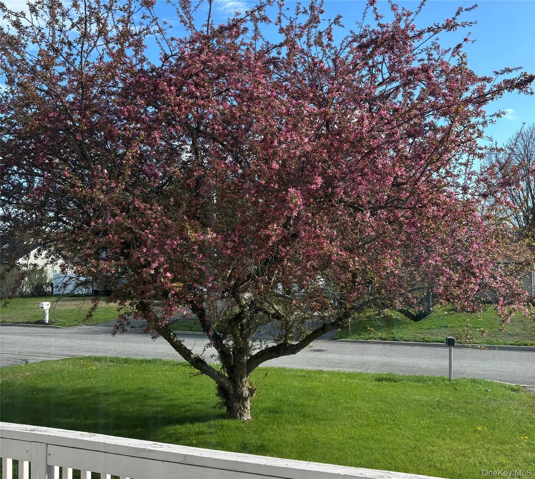 14 Marc Terrace, Monroe, NY, 3 Bedrooms Bedrooms, 5 Rooms Rooms,1 BathroomBathrooms,Residential,For Rent,Marc,0,965884 14 Marc Terrace, Monroe, NY, 3 Bedrooms Bedrooms, 5 Rooms Rooms,1 BathroomBathrooms,Residential,For Rent,Marc,0,965884