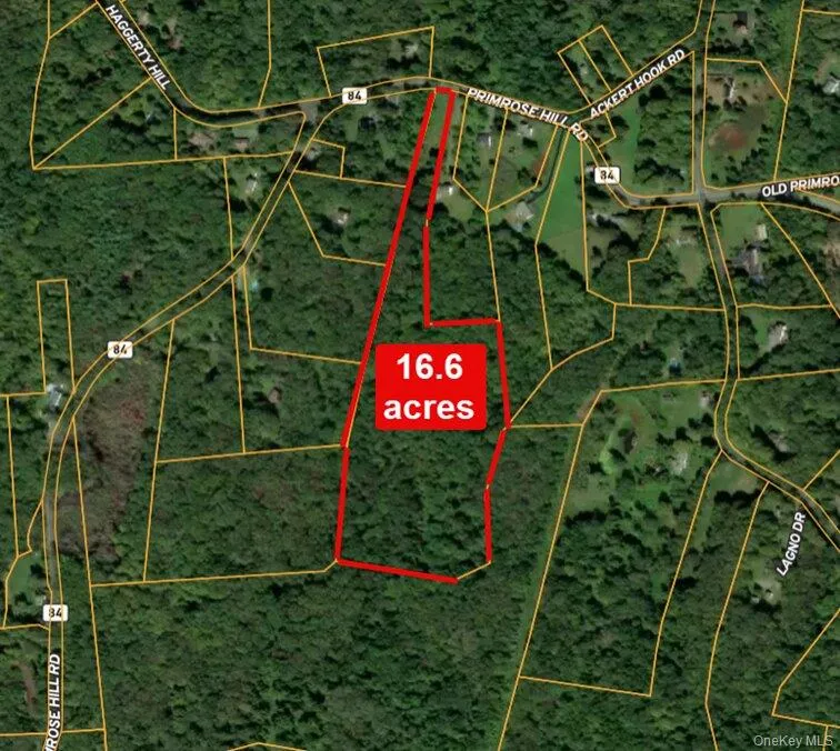 00 Primrose Hill Road, Rhinebeck, NY, ,Land,For Rent,Primrose Hill,0,965918 00 Primrose Hill Road, Rhinebeck, NY, ,Land,For Rent,Primrose Hill,0,965918