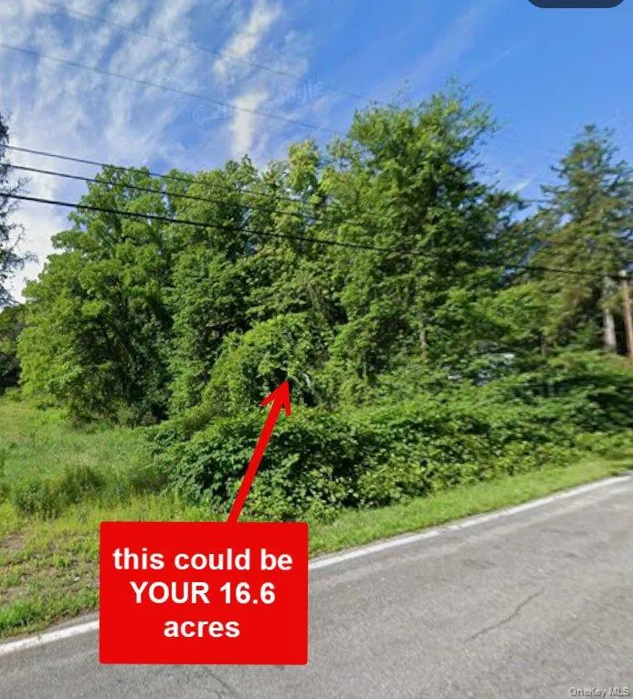 00 Primrose Hill Road, Rhinebeck, NY, ,Land,For Rent,Primrose Hill,0,965918 00 Primrose Hill Road, Rhinebeck, NY, ,Land,For Rent,Primrose Hill,0,965918