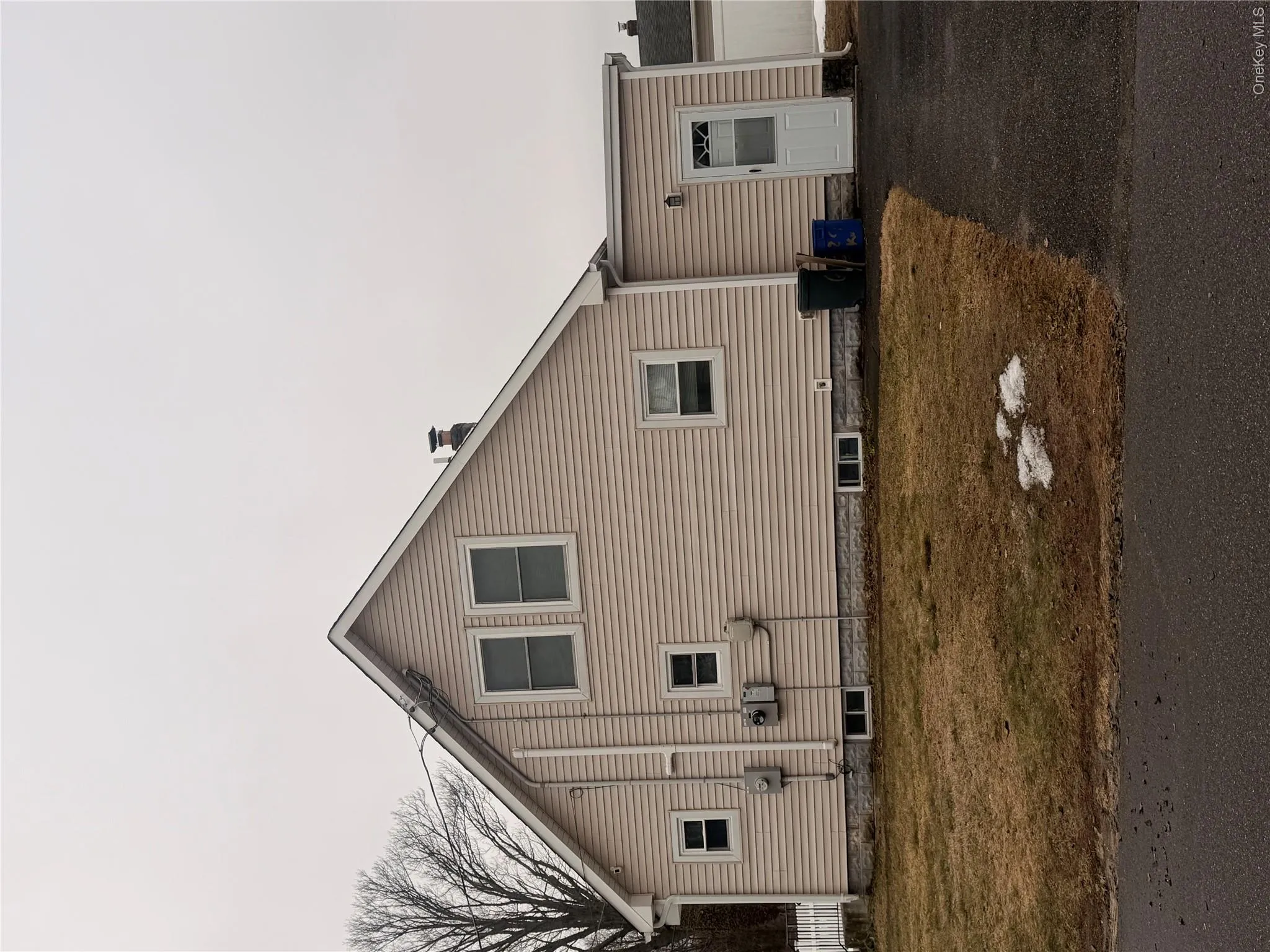 Side Yard View with Basement Entrance Side Yard View with Basement Entrance