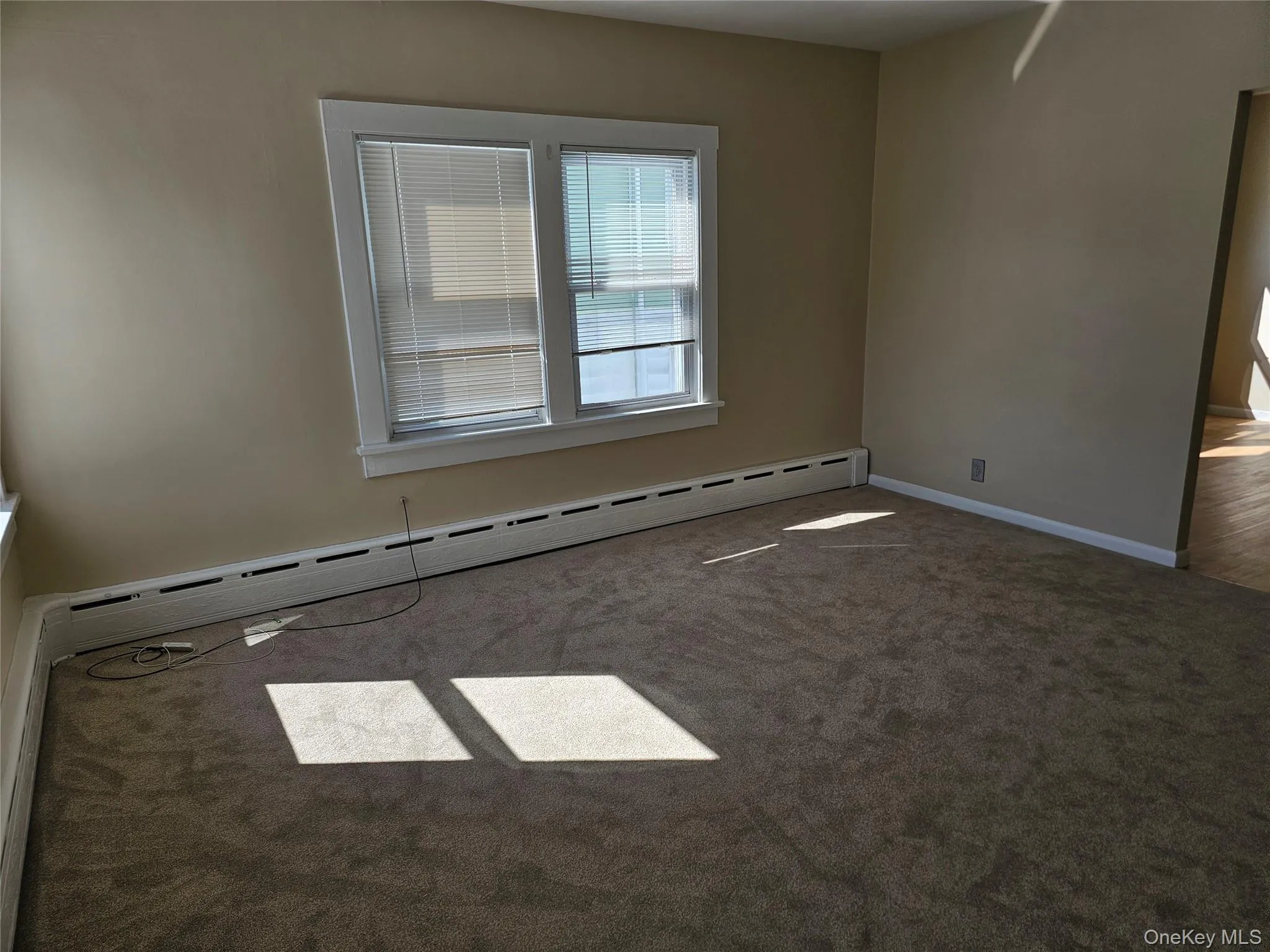 New carpeting New carpeting