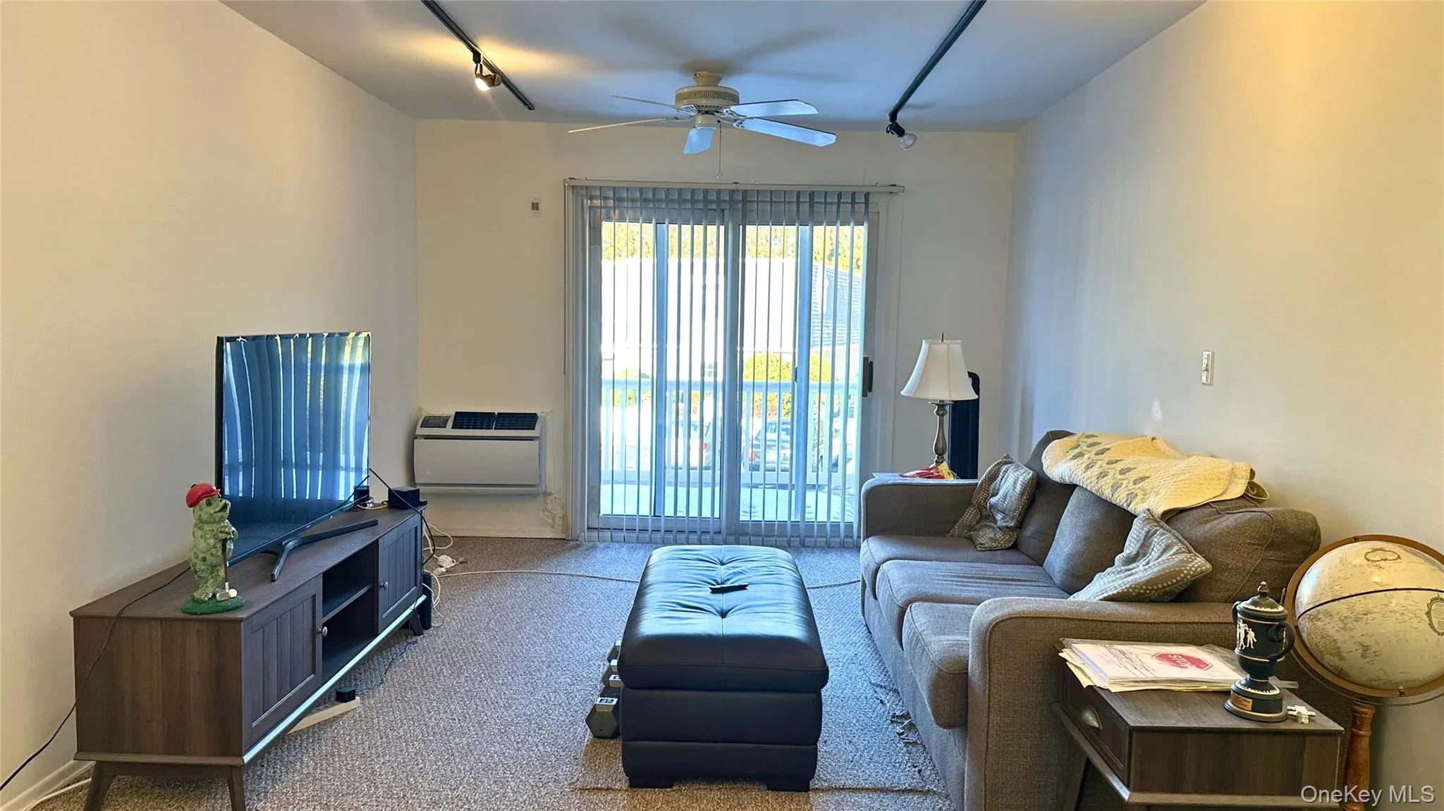 LARGE LIVING ROOM, TRACK LIGHTING, CEILING FAN, CARPET, PRIVATE BALCONY, AC UNIT LARGE LIVING ROOM, TRACK LIGHTING, CEILING FAN, CARPET, PRIVATE BALCONY, AC UNIT