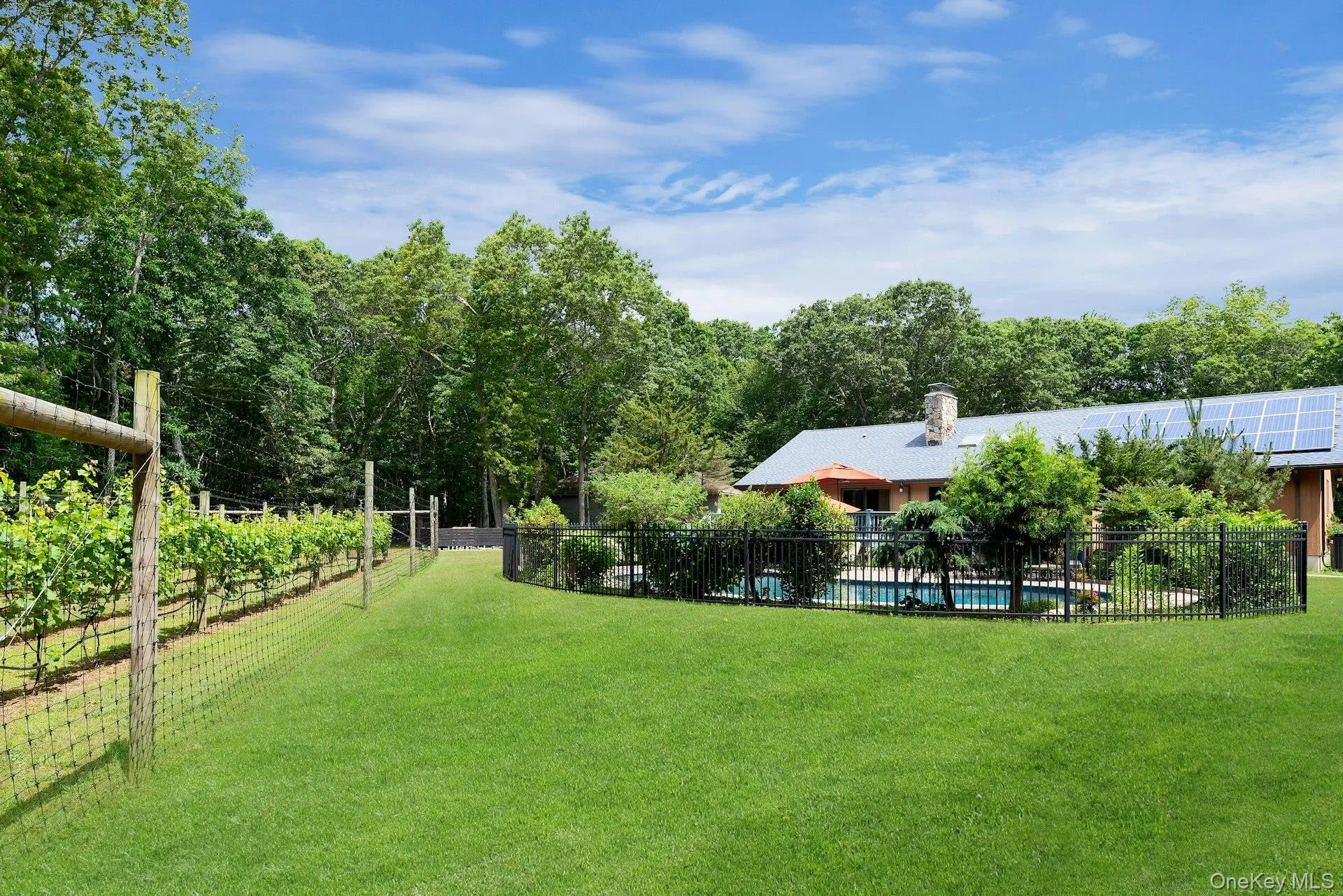 View of Vines, Pool Area and House View of Vines, Pool Area and House