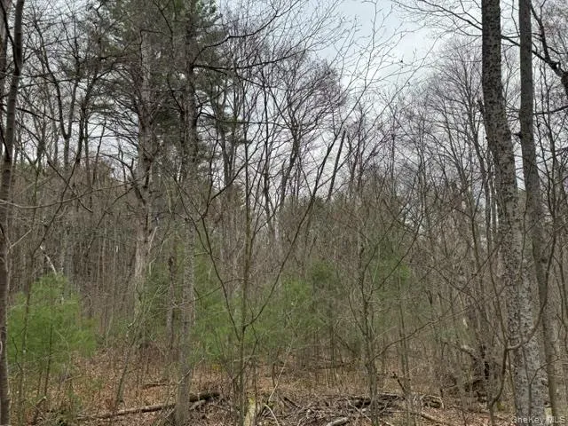 Lot 32 Woodstone Trail, Bethel, NY, ,Land,For Rent,Woodstone,0,966241 Lot 32 Woodstone Trail, Bethel, NY, ,Land,For Rent,Woodstone,0,966241