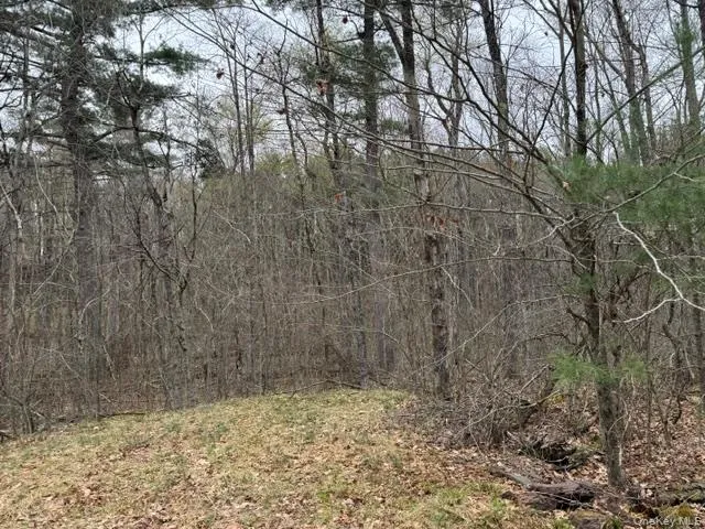 Lot 32 Woodstone Trail, Bethel, NY, ,Land,For Rent,Woodstone,0,966241 Lot 32 Woodstone Trail, Bethel, NY, ,Land,For Rent,Woodstone,0,966241