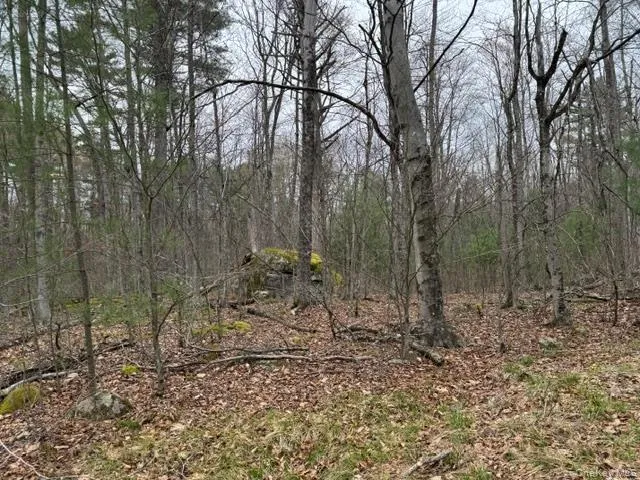 Lot 32 Woodstone Trail, Bethel, NY, ,Land,For Rent,Woodstone,0,966241 Lot 32 Woodstone Trail, Bethel, NY, ,Land,For Rent,Woodstone,0,966241