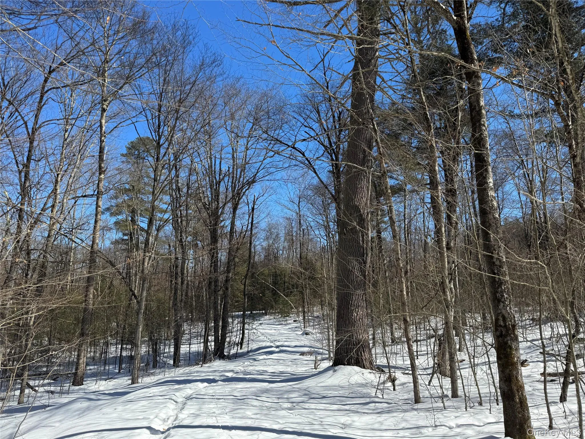 Lot 32 Woodstone Trail, Bethel, NY, ,Land,For Rent,Woodstone,0,966241 Lot 32 Woodstone Trail, Bethel, NY, ,Land,For Rent,Woodstone,0,966241