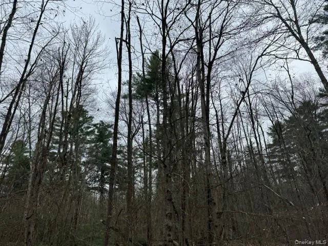 Lot 32 Woodstone Trail, Bethel, NY, ,Land,For Rent,Woodstone,0,966241 Lot 32 Woodstone Trail, Bethel, NY, ,Land,For Rent,Woodstone,0,966241