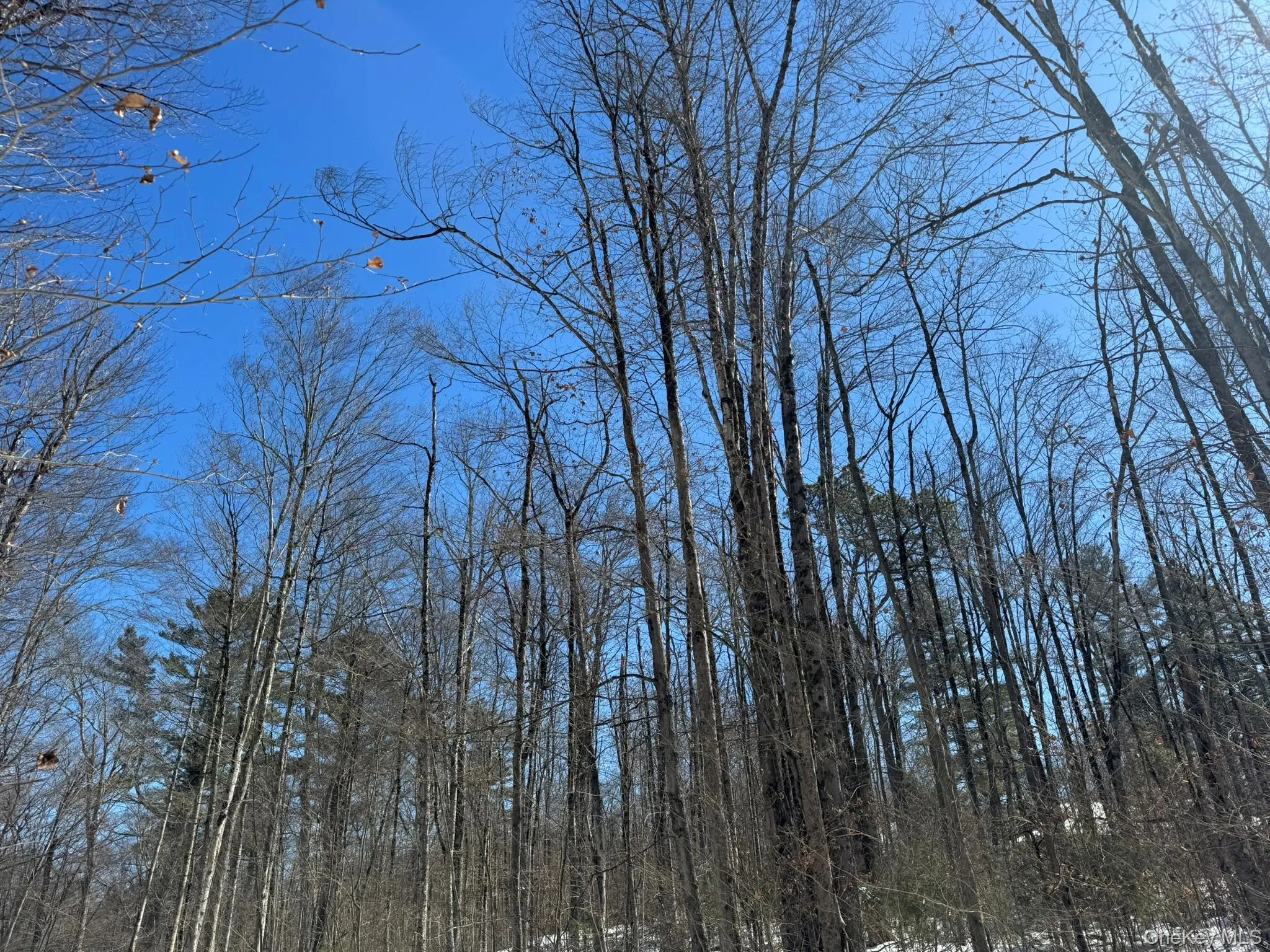 Lot 32 Woodstone Trail, Bethel, NY, ,Land,For Rent,Woodstone,0,966241 Lot 32 Woodstone Trail, Bethel, NY, ,Land,For Rent,Woodstone,0,966241