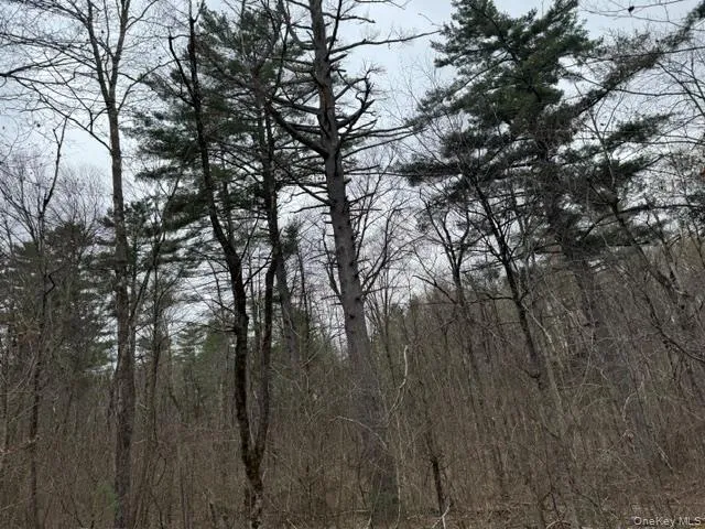 Lot 32 Woodstone Trail, Bethel, NY, ,Land,For Rent,Woodstone,0,966241 Lot 32 Woodstone Trail, Bethel, NY, ,Land,For Rent,Woodstone,0,966241