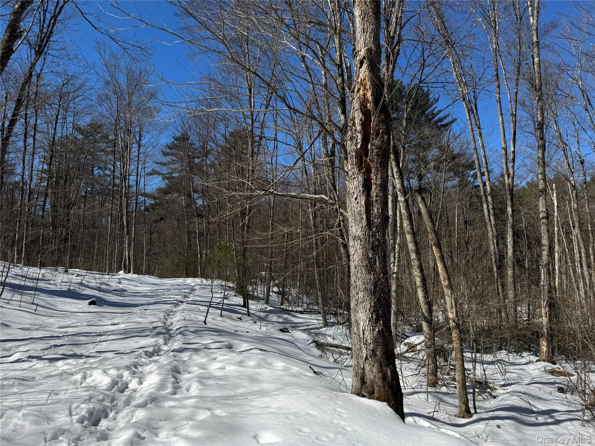 Lot 32 Woodstone Trail, Bethel, NY, ,Land,For Rent,Woodstone,0,966241 Lot 32 Woodstone Trail, Bethel, NY, ,Land,For Rent,Woodstone,0,966241