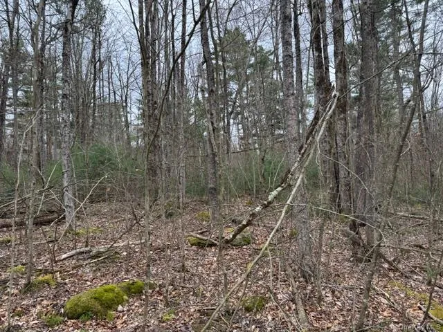 Lot 32 Woodstone Trail, Bethel, NY, ,Land,For Rent,Woodstone,0,966241 Lot 32 Woodstone Trail, Bethel, NY, ,Land,For Rent,Woodstone,0,966241