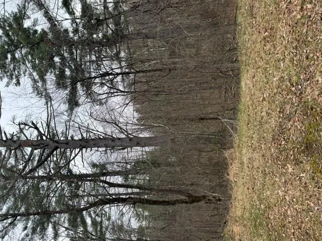 Lot 32 Woodstone Trail, Bethel, NY, ,Land,For Rent,Woodstone,0,966241 Lot 32 Woodstone Trail, Bethel, NY, ,Land,For Rent,Woodstone,0,966241