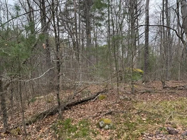 Lot 32 Woodstone Trail, Bethel, NY, ,Land,For Rent,Woodstone,0,966241 Lot 32 Woodstone Trail, Bethel, NY, ,Land,For Rent,Woodstone,0,966241
