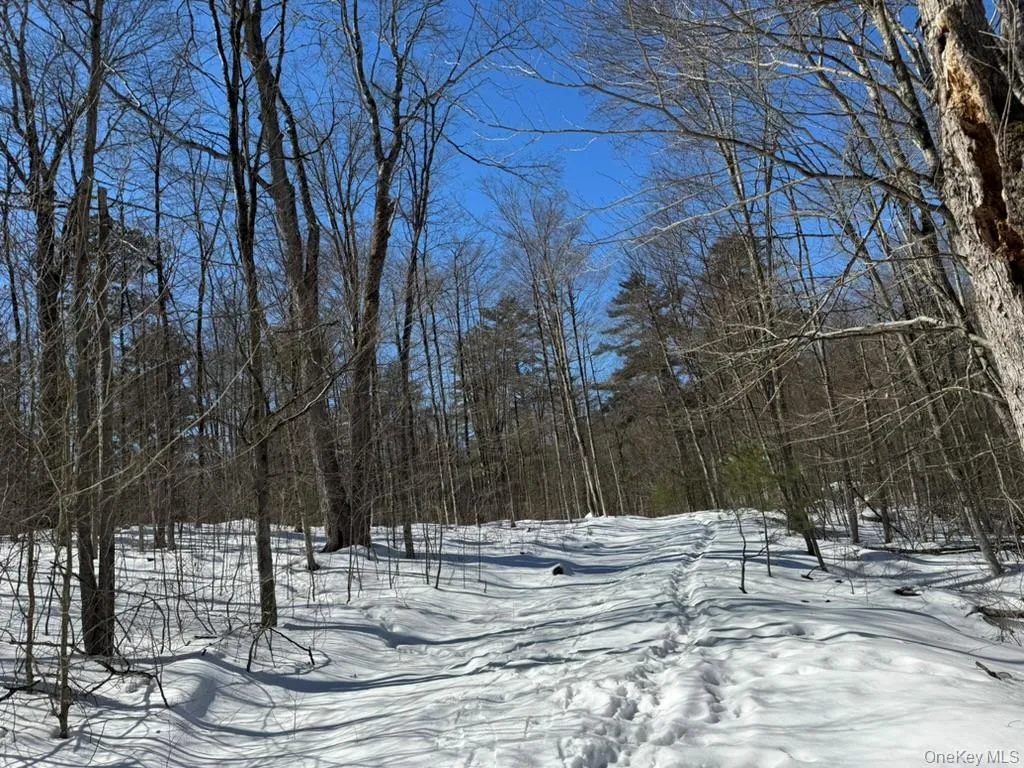 Lot 32 Woodstone Trail, Bethel, NY, ,Land,For Rent,Woodstone,0,966241 Lot 32 Woodstone Trail, Bethel, NY, ,Land,For Rent,Woodstone,0,966241
