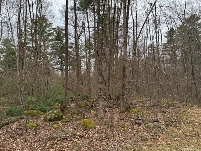 Lot 32 Woodstone Trail, Bethel, NY, ,Land,For Rent,Woodstone,0,966241 Lot 32 Woodstone Trail, Bethel, NY, ,Land,For Rent,Woodstone,0,966241