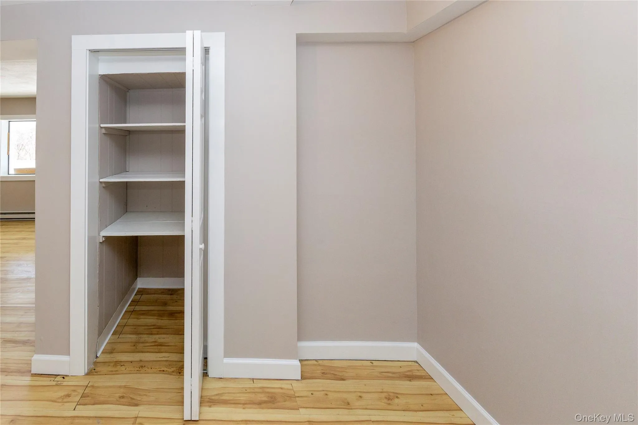 Closet with shelving. Closet with shelving.
