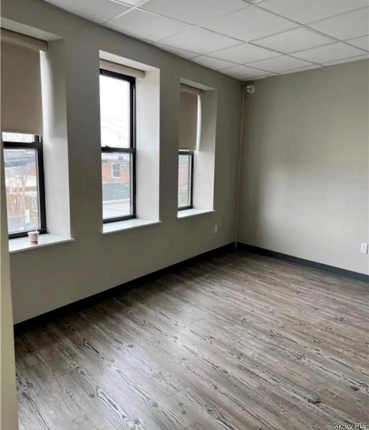 3843 Tremont Avenue, New York, NY, ,Commercial Lease,For Rent,Tremont,0,966322 3843 Tremont Avenue, New York, NY, ,Commercial Lease,For Rent,Tremont,0,966322