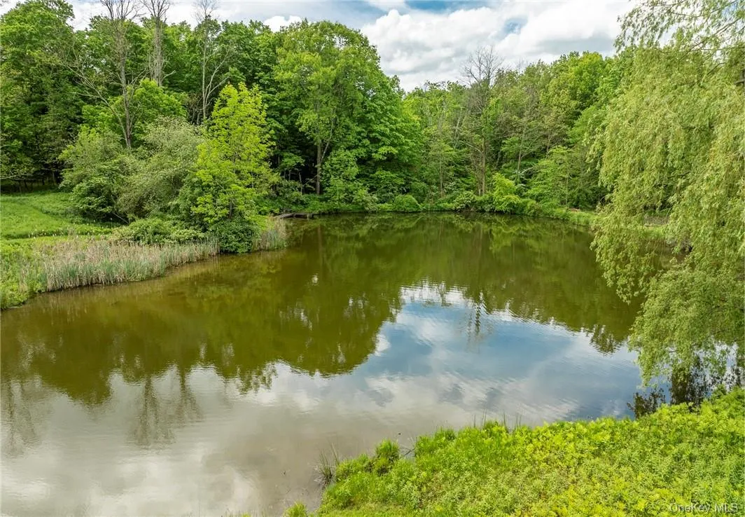 1282 Hollow Road, Clinton, NY, 4 Bedrooms Bedrooms, 8 Rooms Rooms,3 BathroomsBathrooms,Residential Lease,For Rent,Hollow,0,966362 1282 Hollow Road, Clinton, NY, 4 Bedrooms Bedrooms, 8 Rooms Rooms,3 BathroomsBathrooms,Residential Lease,For Rent,Hollow,0,966362