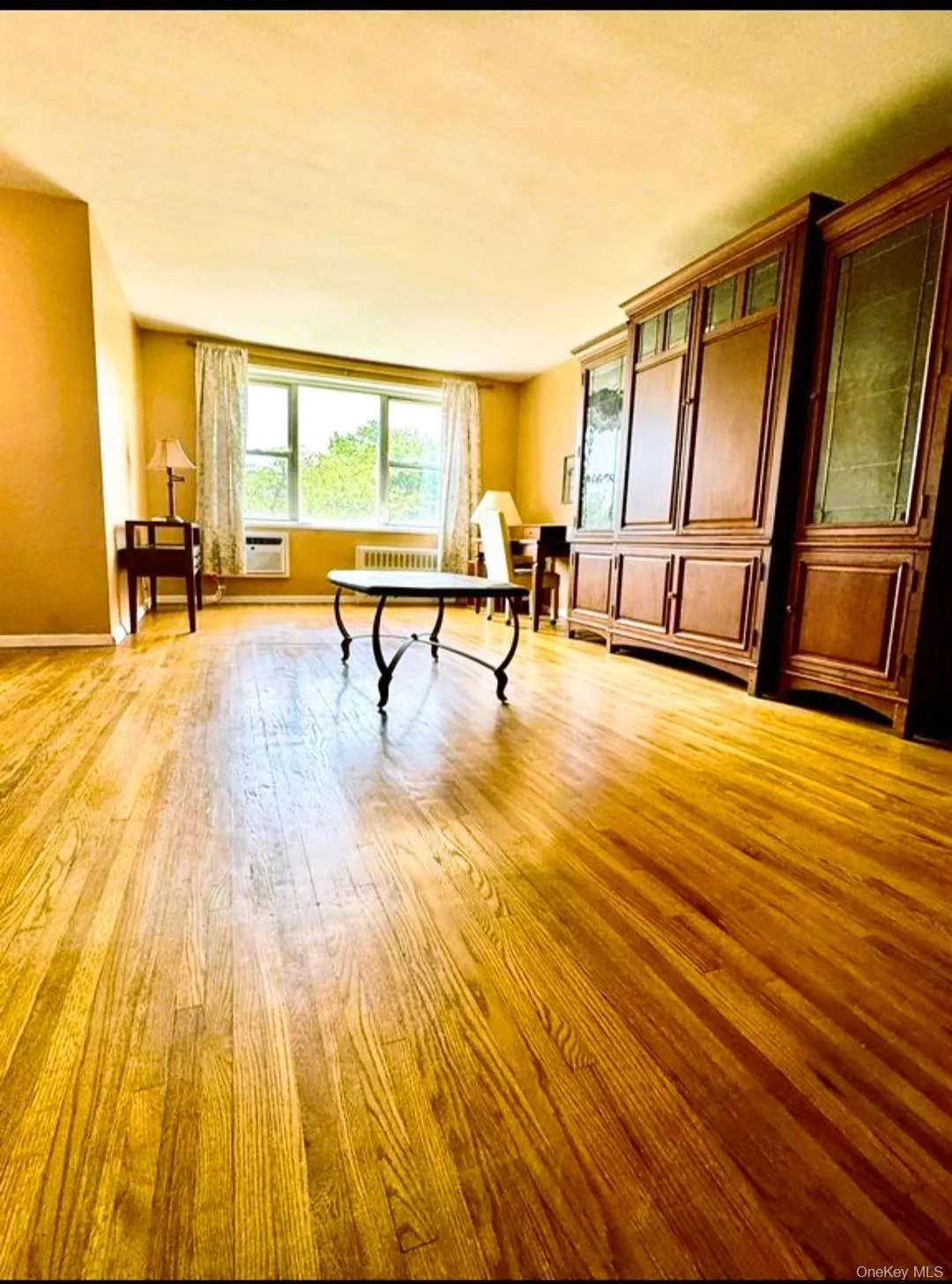 Large and Sunny Living room with hardwood floors Large and Sunny Living room with hardwood floors